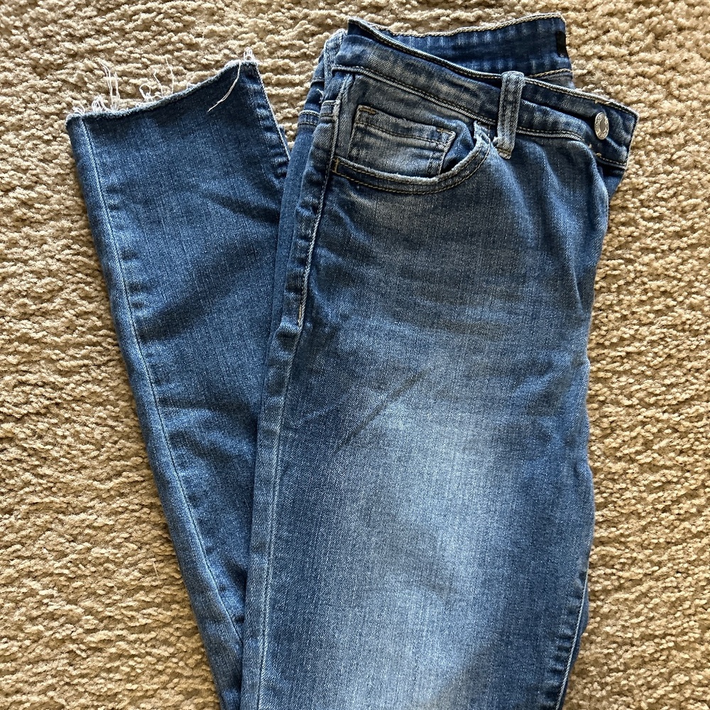 Vervet by Flying Monkey Medium Wash Skinny Jeans